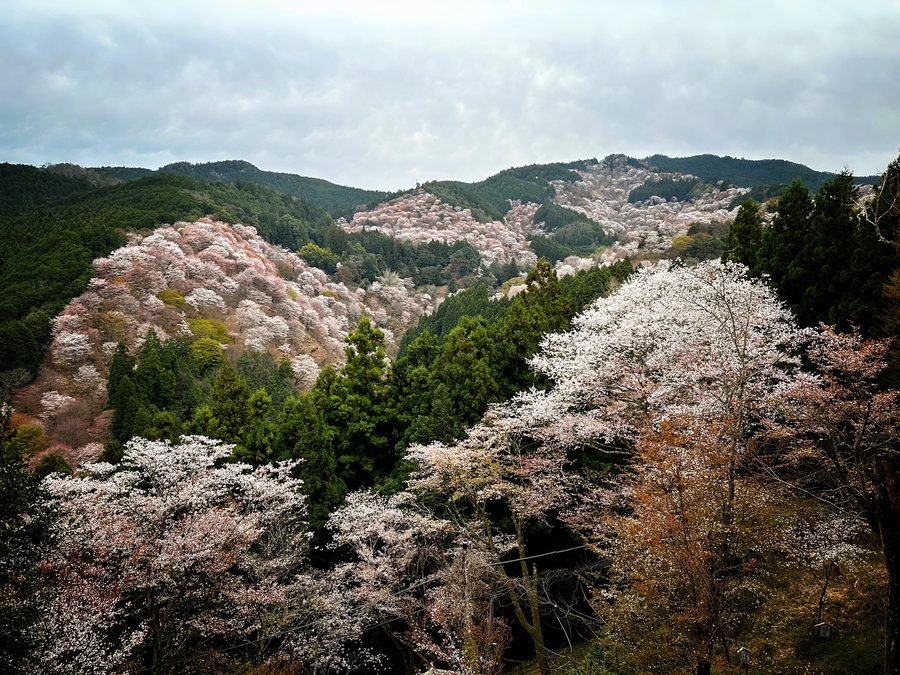 Mount Yoshino